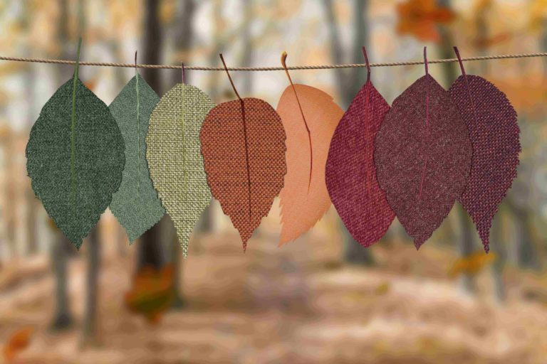 Coloured leaves hanging off a line of string