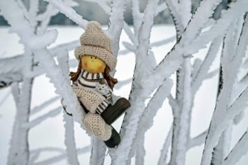 knitted doll sat in some snowy branches